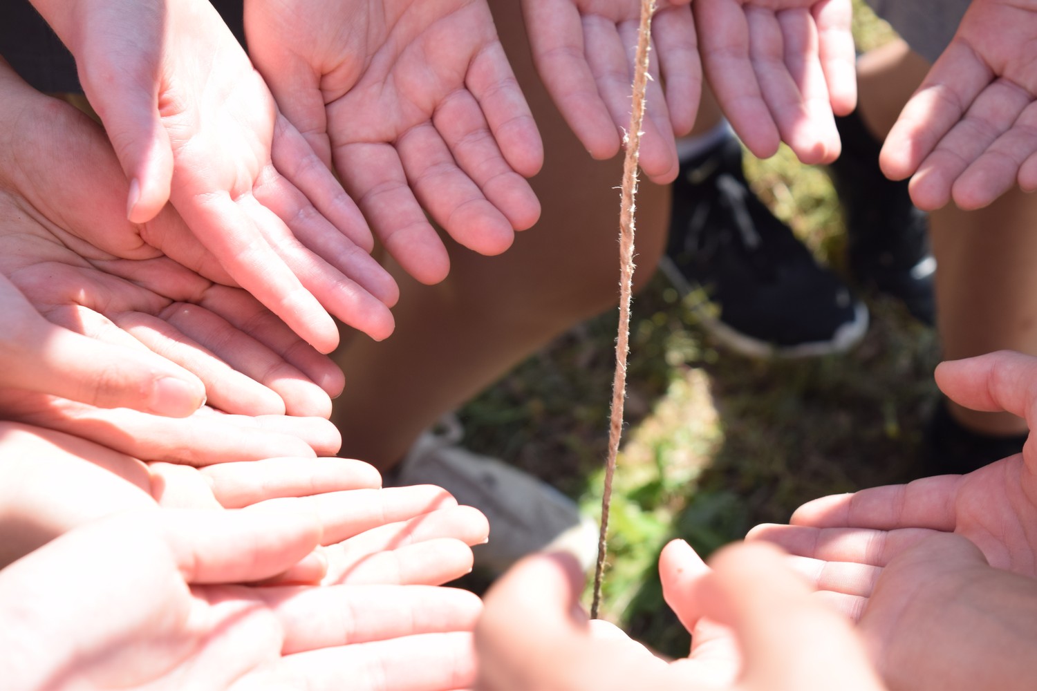 Veliki i mali čuvari zajedno za prirodu