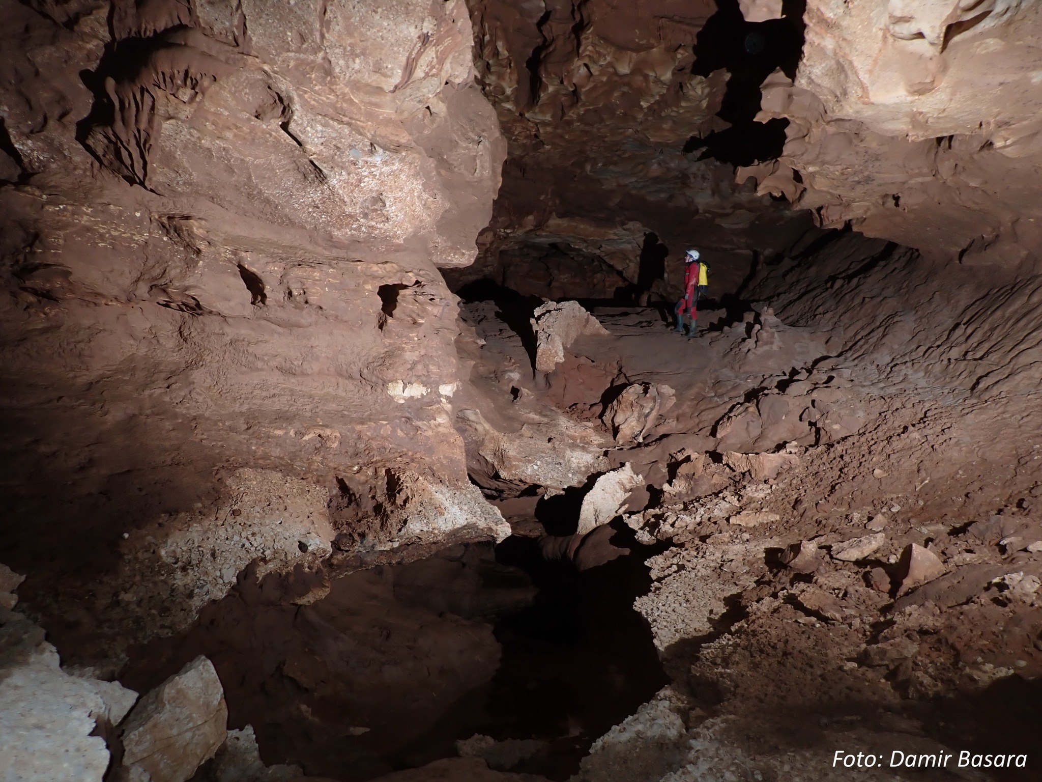 Nacionalni park „Krka“ bogatiji je za novu vrstu recentne slatkovodne foraminifere (krednjaka)